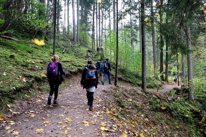 Hike In Gauja National Park - Up And Down The Switzerland Of Latvia - Hike Details