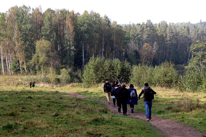 Hike In Gauja National Park - Up And Down The Switzerland Of Latvia - Booking Options