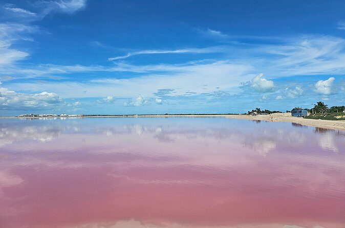 Hike in Las Coloradas and Boat Tour of Río Lagartos - Frequently Asked Questions