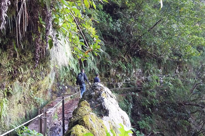 Hike in Laurisilva Levada Do Rei - Madre of Life Small Group Guided Walk - Walking Experience