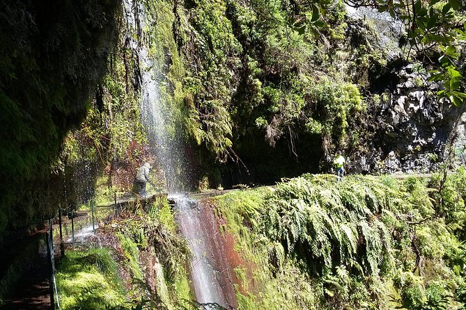 Hike in Laurisilva Levada Do Rei - Madre of Life Small Group Guided Walk - Booking Details