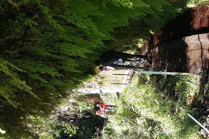 Hike in Laurisilva Levada Do Rei - Madre of Life Small Group Guided Walk - Customer Feedback