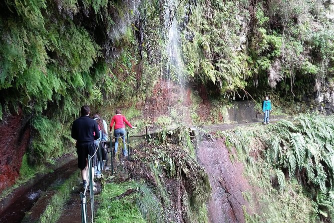 Hike in Laurisilva Levada Do Rei - Madre of Life Small Group Guided Walk - Additional Offers