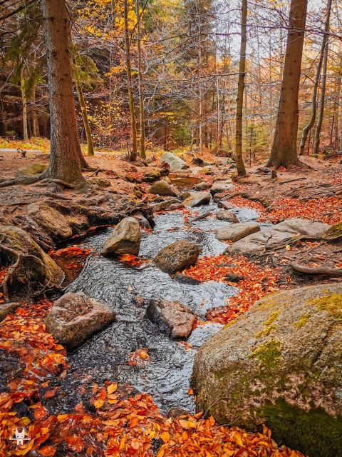 Hike in Polish Mountains: Day Trip to Rudawy Janowickie - Tour Features