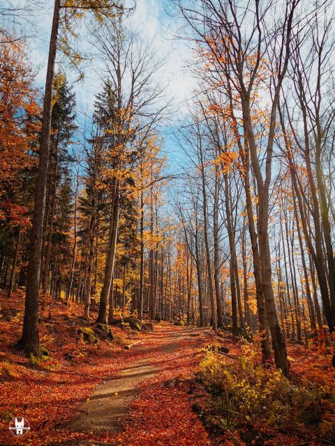Hike in Polish Mountains: Day Trip to Rudawy Janowickie - Food and Refreshments