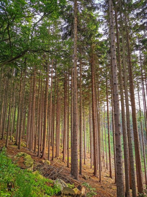 Hike in Polish Mountains: Day Trip to Rudawy Janowickie - Departure and Return