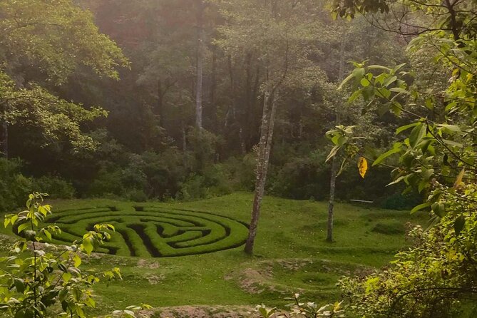Hike in Pristine Forest, a View From Above Atitlan - Key Points