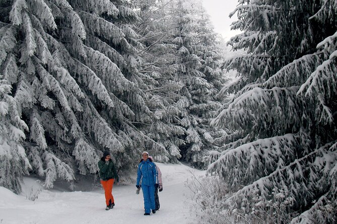 Hike in The Central Balkan National Park - Memorable Moments