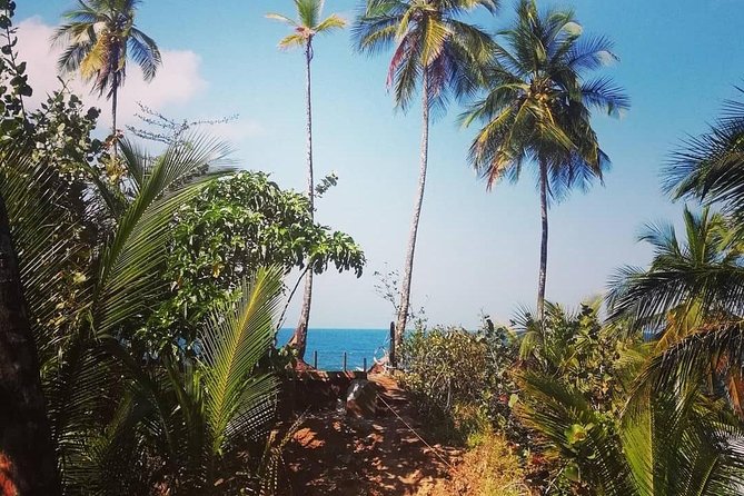 Hike in the Gandoca-Manzanillo Refuge - Key Points