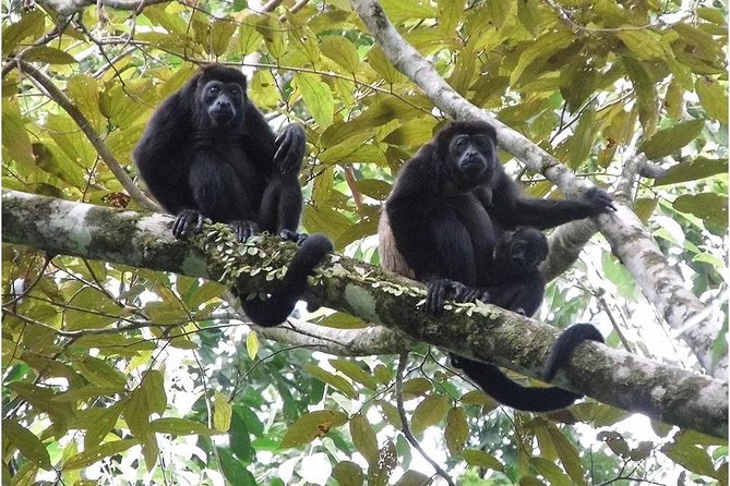 Hike in the Gandoca-Manzanillo Refuge - Customer Reviews