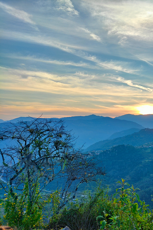 Hike in the Sierra Norte, Cuajimoloyas - Pricing and Reservations