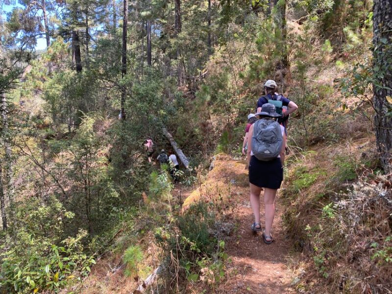 Hike in the Sierra Norte, Cuajimoloyas - Frequently Asked Questions