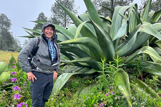 Hike in the Sierra Norte, Cuajimoloyas - Meeting and End Point