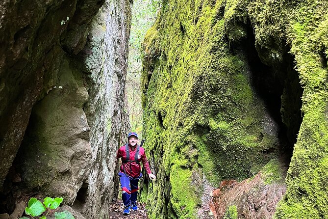 Hike in the Sierra Norte, Cuajimoloyas - Accessibility and Physical Requirements