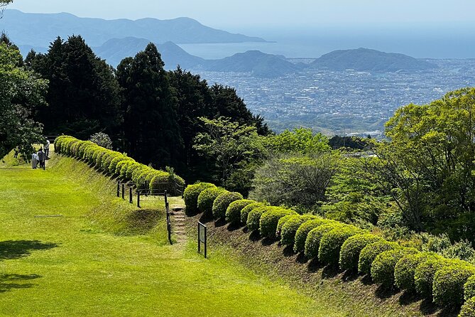 Hike Japan Heritage Hakone Hachiri With Certified Mountain Guide - Included Amenities and Transportation