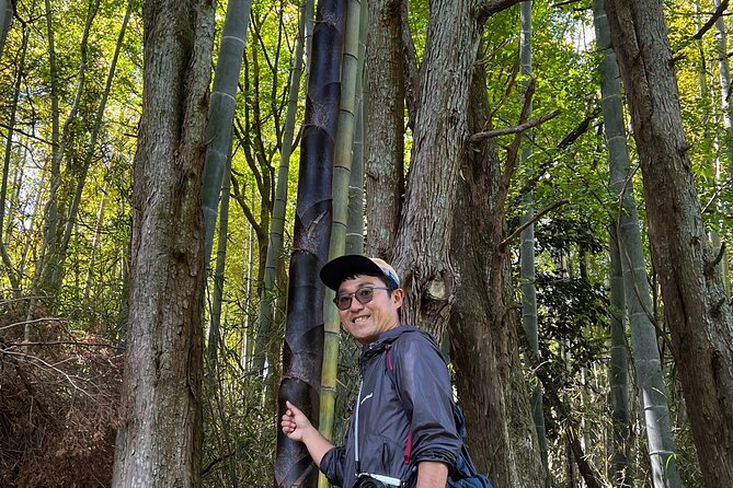 Hike Japan Heritage Hakone Hachiri With Certified Mountain Guide - Meeting Point and Pickup