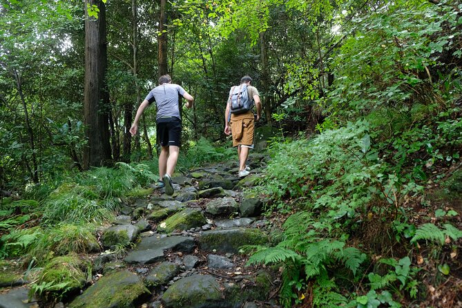 Hike Japan Heritage Hakone Hachiri With Certified Mountain Guide - Cancellation Policy Considerations