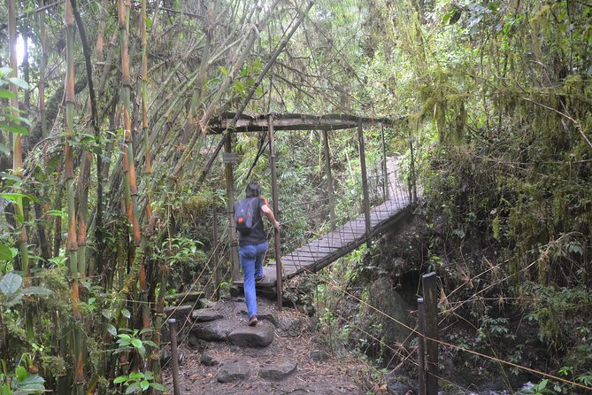 Hike La Chorrera and El Chiflón Mighty Waterfalls From Bogota - Knowledgeable Guides and Safety