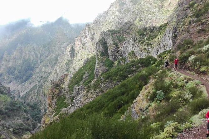 Hike Larano, Boca Do Risco Porto Da Cruz Levada in a Small Group - Activity Details