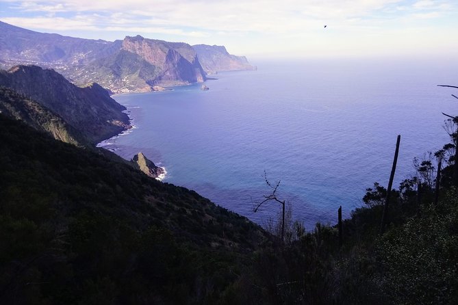 Hike Larano, Boca Do Risco Porto Da Cruz Levada in a Small Group - Guide and Customer Service