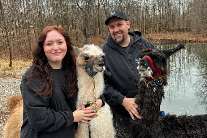 Hike & Lunch with Llamas - An Authentic Farm Visit in the Heart of New Brunswick