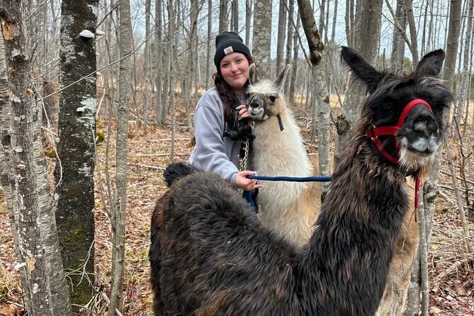 Hike & Lunch with Llamas - A Step-by-Step Breakdown of the Experience