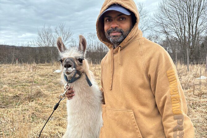Hike & Lunch with Llamas - Practical Details and Tips