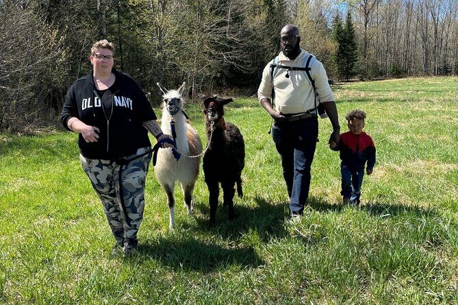 Hike & Lunch with Llamas - Who Will Love This Tour?