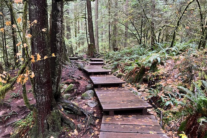 Hike Lynn Canyon and Bike Seymour Demonstration Forest - Physical Requirements