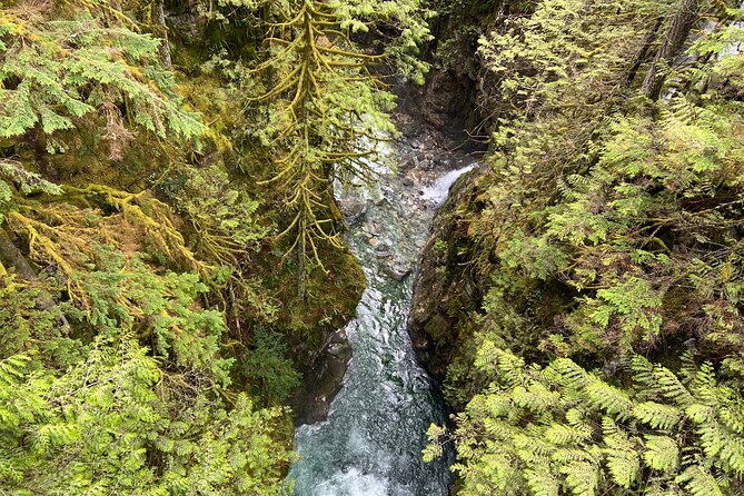 Hike Lynn Canyon and Bike Seymour Demonstration Forest - Cancellation Policy