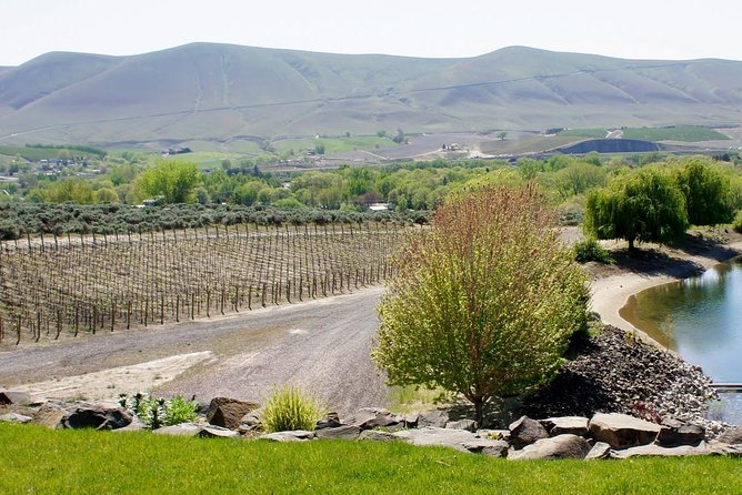 Hike Mt. Rainier & Taste Yakima Valley Wine: All-Inclusive Day Tour From Seattle - Experience Highlights
