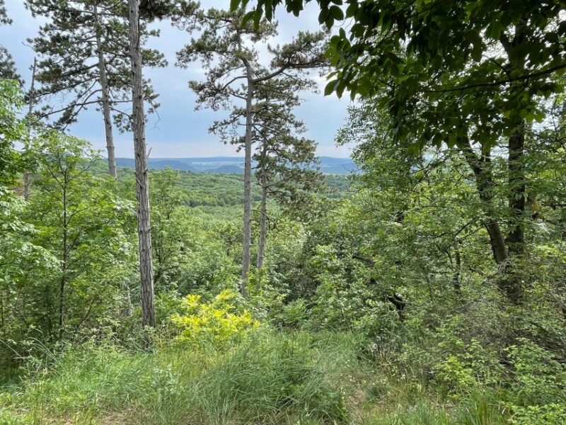 Hike, Nature & Picturesque View Over Budapest - Natural Beauty Close to the City