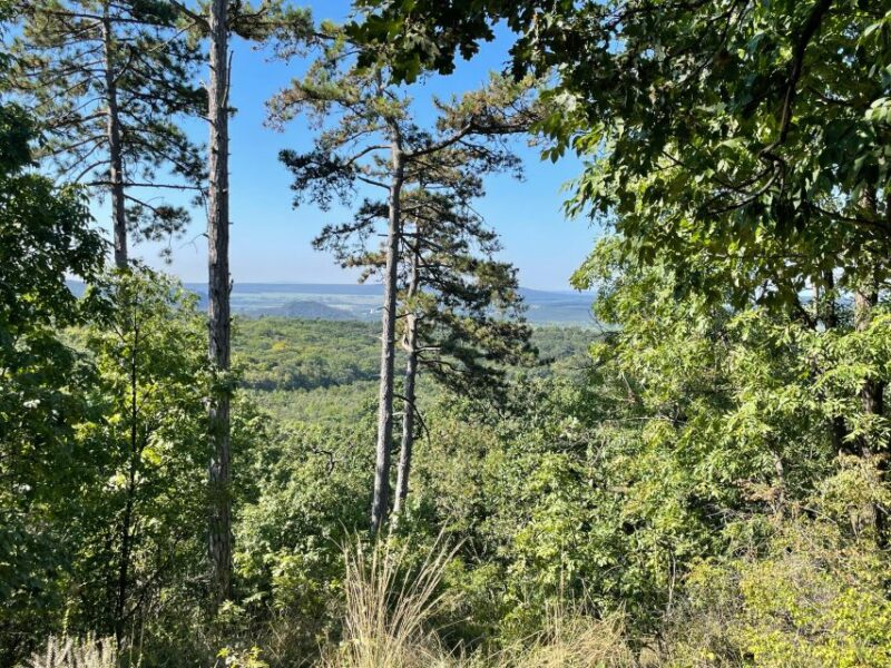 Hike, Nature & Picturesque View Over Budapest - Lookout Tower With Panoramic Views