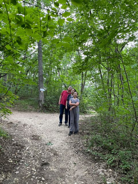 Hike, Nature & Picturesque View Over Budapest - Assistance for Remainder of Stay
