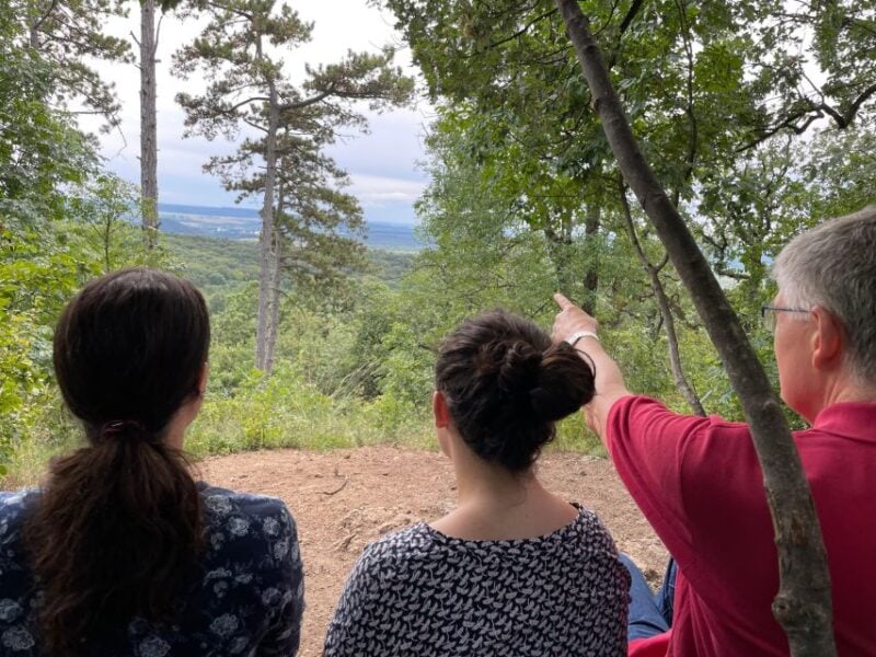 Hike, Nature & Picturesque View Over Budapest - Availability and Meeting Point