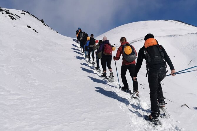 Hike Near the Summit Craters up to the Maximum Safe Altitude Currently Foreseen - Booking and Cancellation Policy