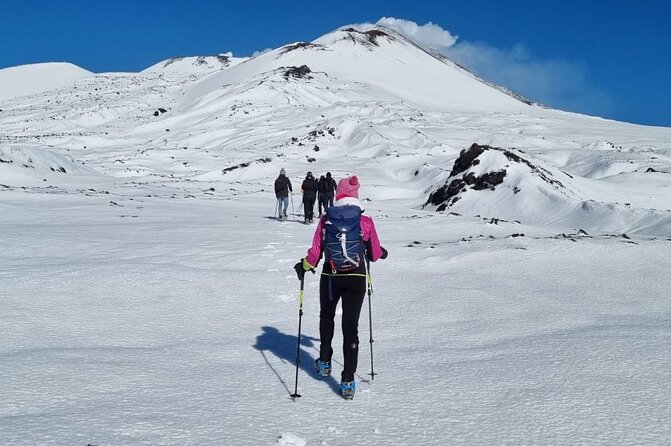 Hike Near the Summit Craters up to the Maximum Safe Altitude Currently Foreseen - Meeting Point and Transportation