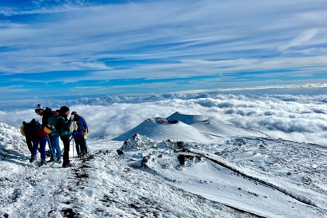 Hike Near the Summit Craters up to the Maximum Safe Altitude Currently Foreseen - Expert Vulcanological Guide