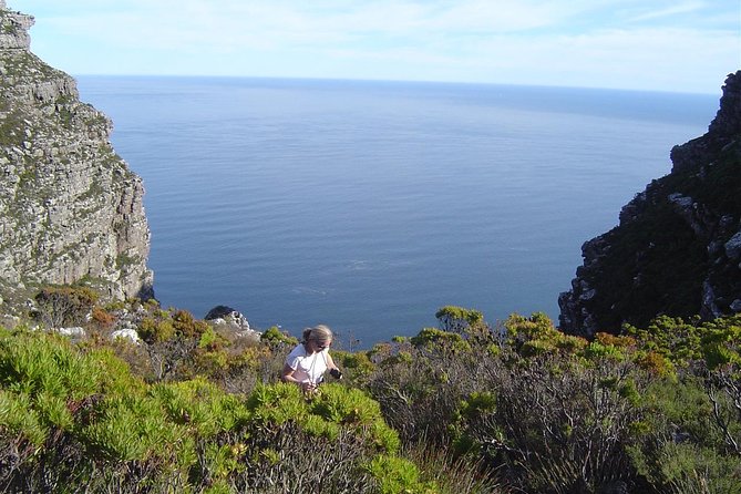 Hike off the Beaten Track on Table Mountain - Pricing and Booking