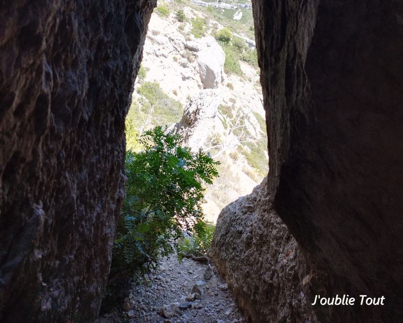 Hike on the Trail of Marcel Pagnol - Highlights of the Experience