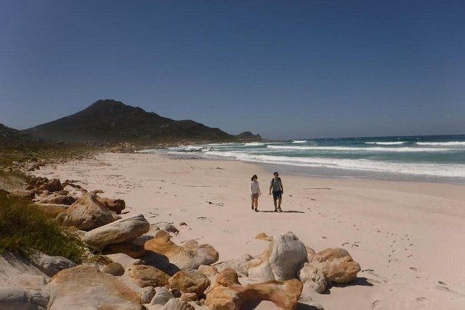 Hike Private Cape of Good Hope, Cape Point & Penguins Full Day - Highlights of the Tour