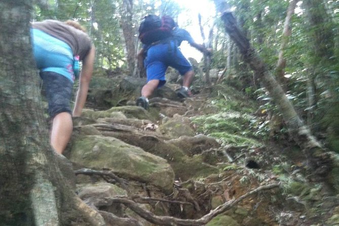 Hike Rope Ladders Miyazaki Japan - Included in the Experience
