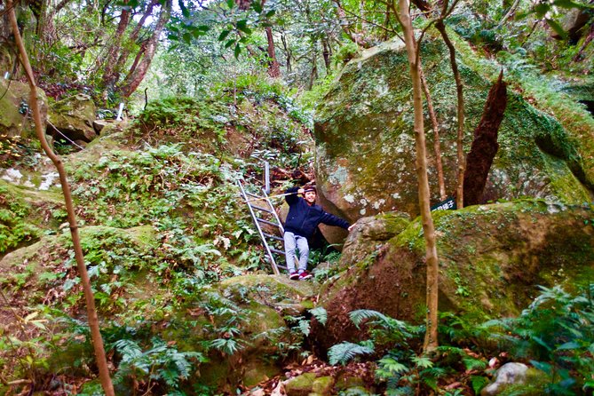 Hike Rope Ladders Miyazaki Japan - Exploring the Aoshima River