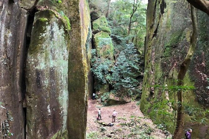 Hike Rope Ladders Miyazaki Japan - Guided Hike Safety Considerations