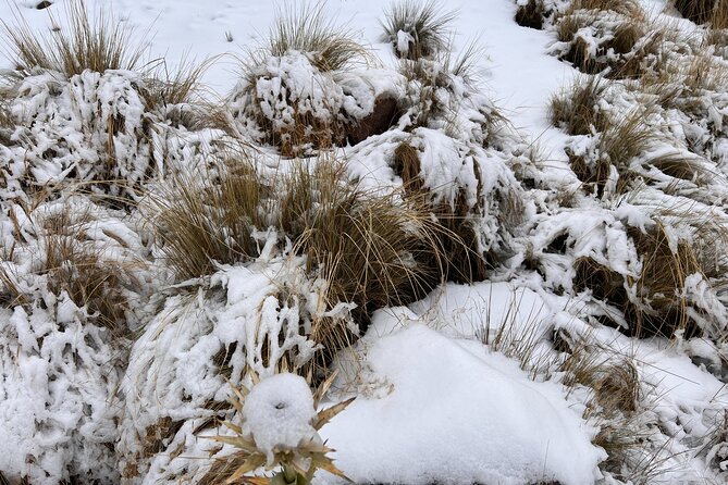 Hike Snowy Mountain Nevado Toluca (Private Tour From Mexico City) - Experience and Guides
