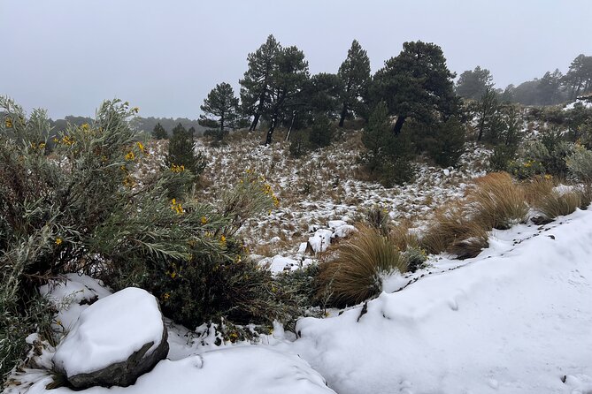 Hike Snowy Mountain Nevado Toluca (Private Tour From Mexico City) - Hike Difficulty and Duration