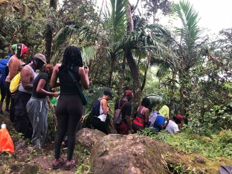 Hike St. Kitts: Highest peak Mount Liamuiga Volcano - Key Points