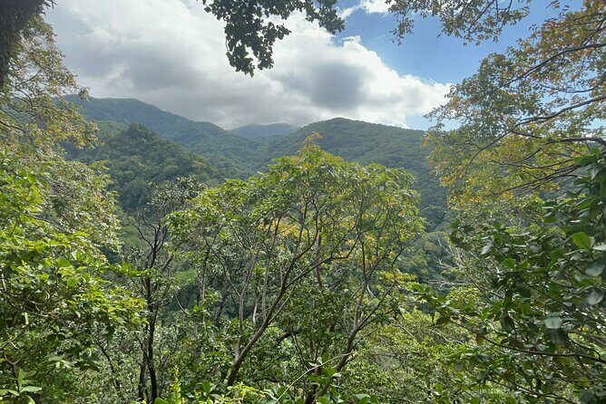 Hike St Kitts: Wingfield Rainforest and Romney Experience - Who Will Enjoy This Tour?