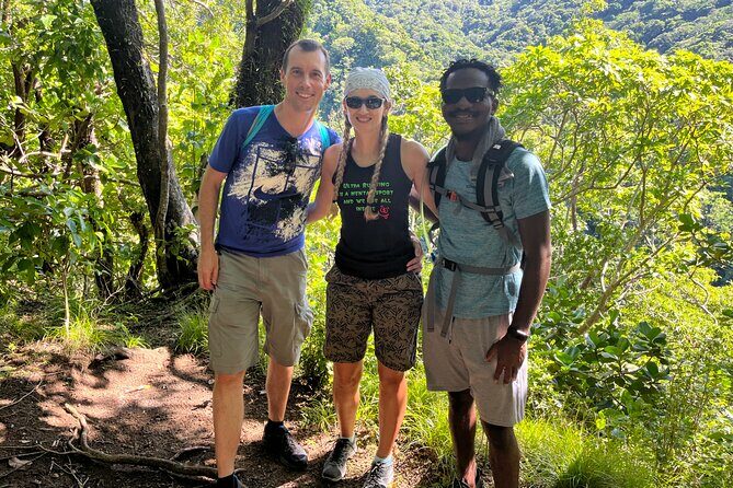 Hike St Kitts: Wingfield Rainforest and Romney Experience - What to Bring and Considerations