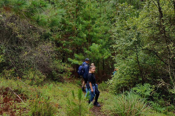 Hike the Camino Real, Latuvi – Lachatao - Meeting and Pickup